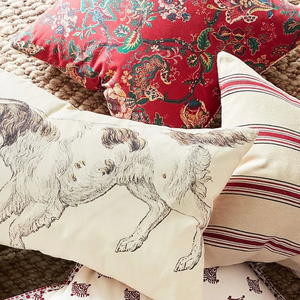 NWOT Pottery Barn Johanna Printed Throw Pillows Set of 2